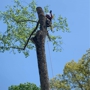 ArborPro Tree Service