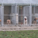 Central Kennels - Pet Services