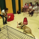 Rocket Science Training and Behavior Solutions - Dog Training