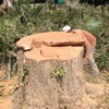 S & L Tree Service & Stump Grinding gallery