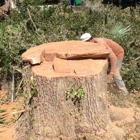 S & L Stump Grinding