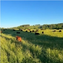 Smith Family Pastures LLC - Farms