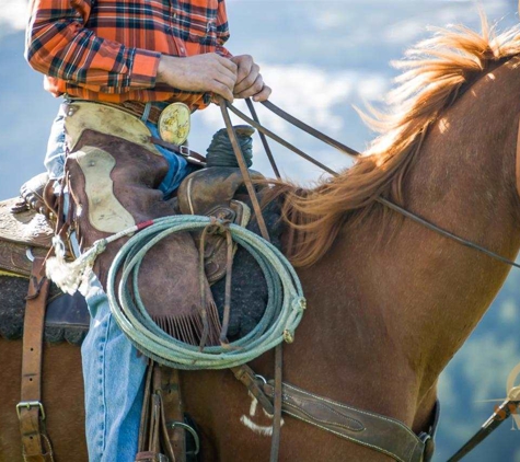 Taunya Fagan Bozeman Real Estate - Bozeman, MT