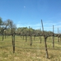 Sunstone Vineyards & Winery