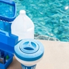 Pirate Bay Pools gallery
