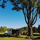 Sweet’s Tree Service - Tree Service