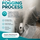 BestPro Mold Removal - Mold Remediation