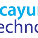 Picayune Technology - Computer Online Services
