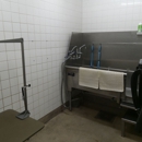 Petco Grooming