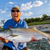 Striper Hunter Guide Service gallery