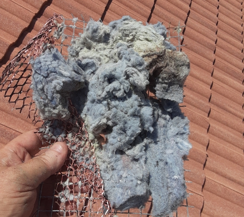 Asap Dryer Vent Cleaning - Jupiter, FL. Dryer Lint removed from roof