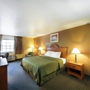 Quality Inn - Motels