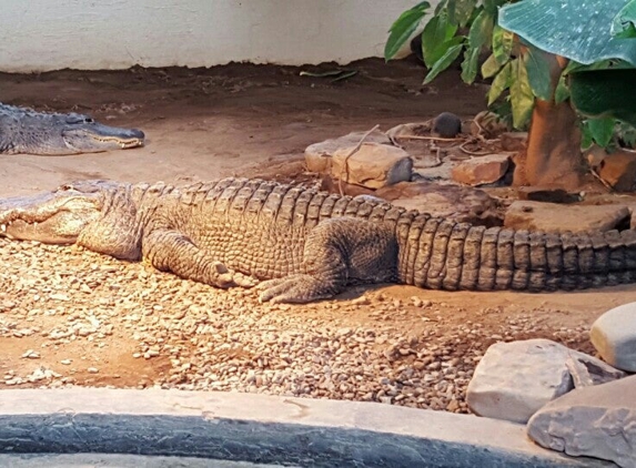 Clyde Peeling's Reptiland - Allenwood, PA