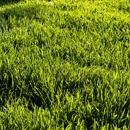 NaturaLawn of America