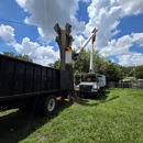 Mid-Florida Tree Service - Stump Removal & Grinding