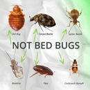 Nextgen Pest Solutions - Pest Control Equipment & Supplies