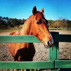 Arnett's Gulfside Trail Rides