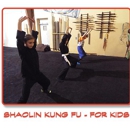 Dragon Arts Kung Fu & MMA - Martial Arts Instruction