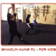 Dragon Arts Kung Fu And MMA