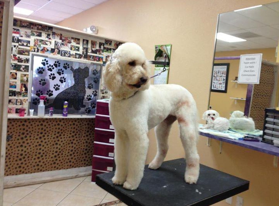 Doggy Studio - Tamarac, FL