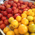 Charlotte Regional Farmer's Market