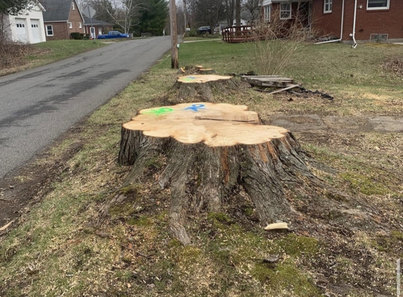 Stump Wrecker - Latham, NY. Stump Project Colonie NY