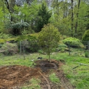 Precision Tree and Landscape - Landscape Designers & Consultants
