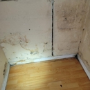 Strictly Cleaning Restoration - Mold Remediation