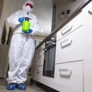Braman Termite & Pest Elmntn - Pest Control Equipment & Supplies