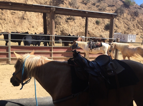 Sunset Ranch Hollywood Stables - Los Angeles, CA