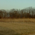 Prairie Oaks