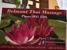 Belmont Thai Massage - Massage Therapy