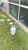 Window Hero West Houston - Building Cleaning-Exterior