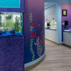 Woodbury Pediatric Dentistry & Orthodontics