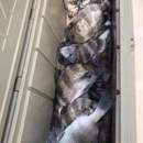 Salt Style Guide Service - Fishing Lakes & Ponds