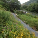 Lehigh Gap Nature Center - Nature Centers