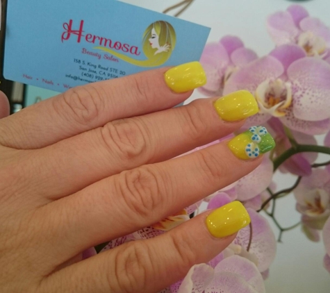 Hermosa Hair Nail Salon And Day Spa - San Jose, CA