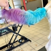 Woofs & Purrs Grooming gallery