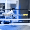 Pickleball Kingdom gallery