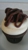 Frost Bake Shoppe - Bakeries