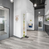 Safari Family Dental & Orthodontics - Gulf Fwy gallery
