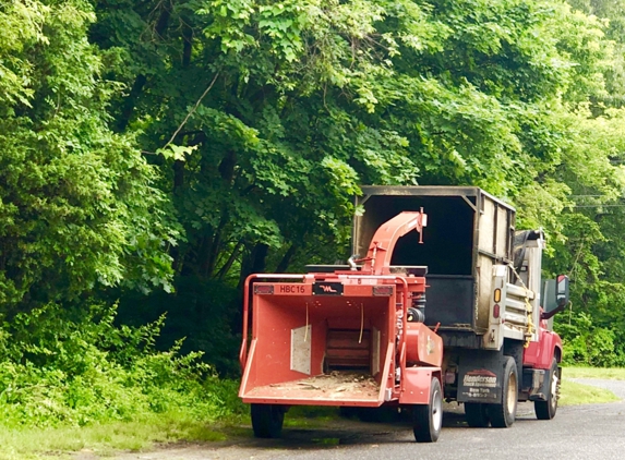 Brookhaven Town Highway Superintendent - Coram, NY. Coram N.Y. 06/13/19
Tree Trim backs
Keeping our roadways safe 
•Results