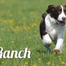 Hill Country Pet Ranch - Pet Specialty Services