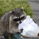 SafeHaven Pest Control - Pet Services