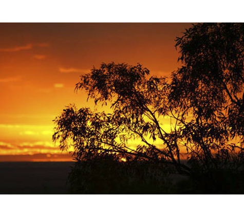 Hughenden Rest-Easi Motel - Hughenden, QLD