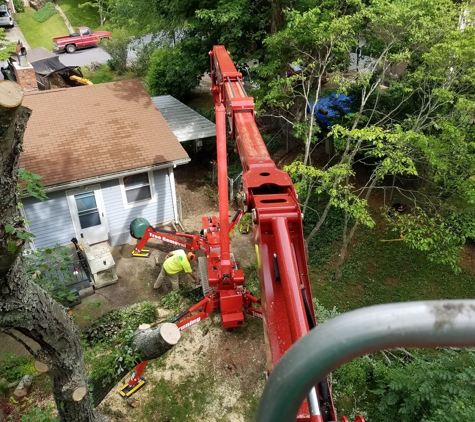 A  W D Tree Service - Rochester, MI