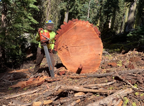 Noble Tree Service