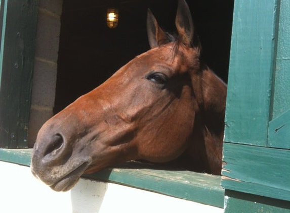 Morven Park International Equestrian Center - Leesburg, VA