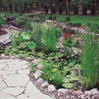 Insite Landscape Design, Inc