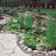 Insite Landscape Design, Inc